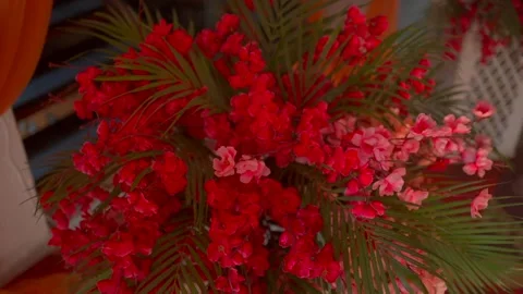 Vibrant Red and Pink Artificial Flowers with Lush Green Palm Leaves. Stock-Footage 313318616