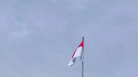 Vibrant red and white flag symbol of Indonesia waving outdoors in the wind Stock Footage 343806244