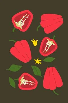 Vibrant red bell peppers with seeds and green leaves on dark background Stock Illustration