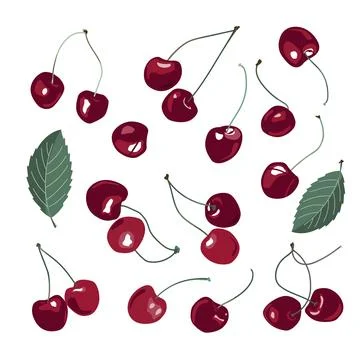 Vibrant red cherry drawing seton white background. Vector hand drawn illust.. Stock-Illustration