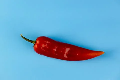 Vibrant Red Chili Pepper on a Light Blue Background - A Stunning Display of Stock Photos
