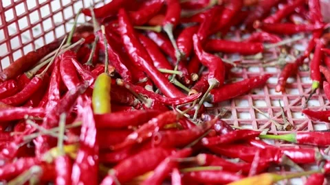 Vibrant Red Chillis at Thai Floating Market Vídeo Stock 304847595