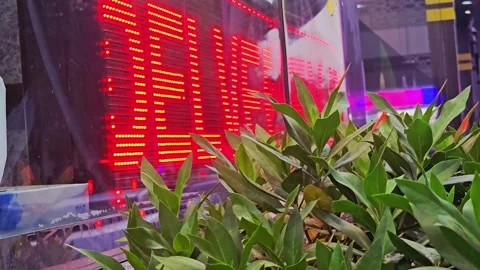 Vibrant red digital display glows behind lush green foliage, suggesting urban Video stock 311589440