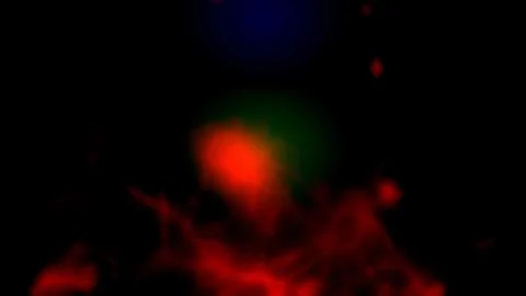 Vibrant red flames dance against black backdrop Illustration