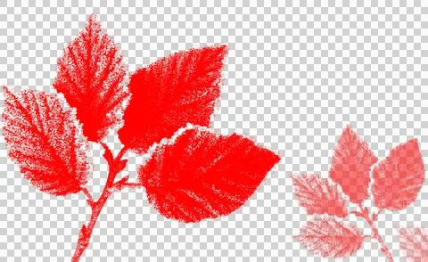A vibrant red leaf branch graphic with a subtle transparent shadow. 库存插图