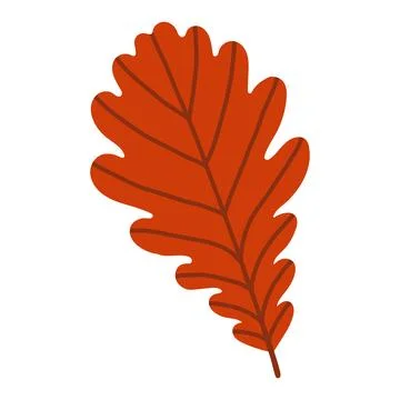 Vibrant red oak leaf vector isolated on white background. Flat autumn fall イラスト素材