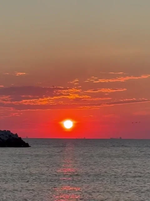 Vibrant Red Sunset Over Ocean with Flying Birds Stock Footage 339584147