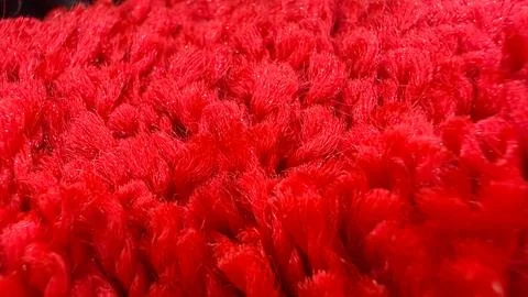 Vibrant Red Texture - A Close-Up View of a Plush, Textured Surface. Stock Photos