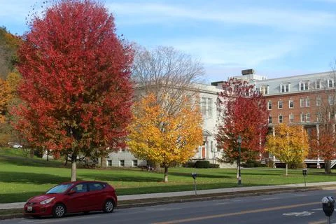 Vibrant Red Tree Fall Foliage Vermont State House Fotos Stock