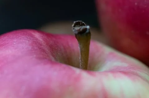 Vibrant Red Yellow Apple Macro: Crisp Bite, Natural Essence, Pure Fruit Detai Stock Photos