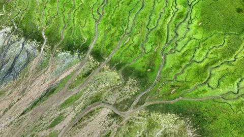 Vibrant river delta landscape viewed from above in sunny daylight 스톡 동영상 320265038