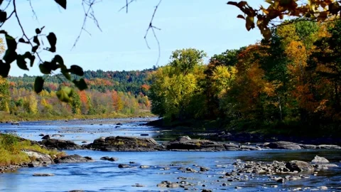 A vibrant river flows through a forest in the peak of autumn Stock Footage 312680363