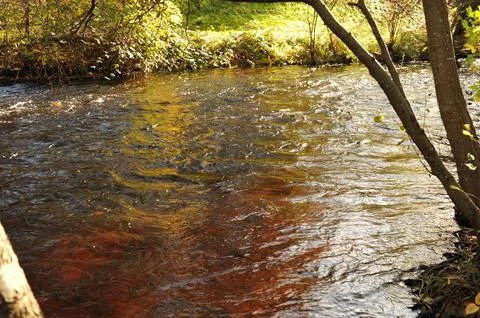 Vibrant river scene, Energetic stream with bright reflections and textured .. Stock Photos