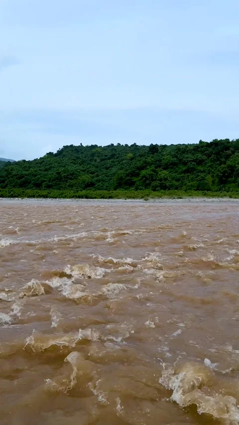 Vibrant river scene with lush green hills under a clear blue sky in a capti.. Vidéo 338414735