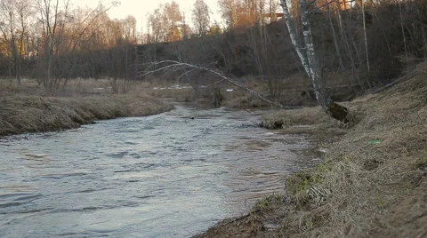 Vibrant river in summer forest Stock Footage 67475971