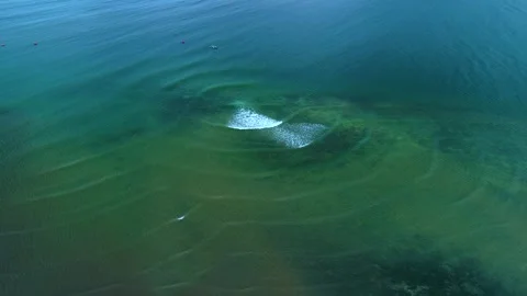 Vibrant Sea Waves, Palawan Stock Footage 324501635