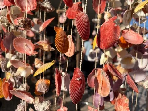 Vibrant seashells hanging on strings creating a colorful backdrop, concept of Foto stock