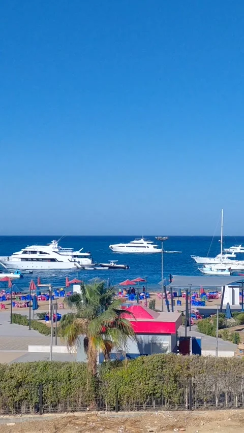 A vibrant seaside scene Stock Footage 336206251