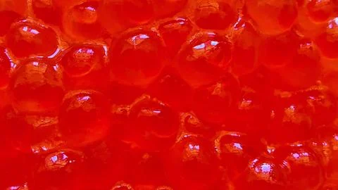 A Vibrant Serving of Salmon Roe Displayed Beautifully on a Plate for Culinary Stock Photos