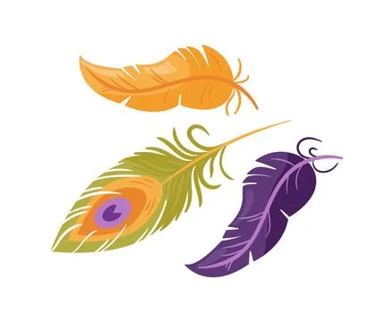 A vibrant set of multi colored peacock and parrot feathers in a boho style. This Illustrazione stock