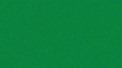 Vibrant Solid Green Background Seamless Color Loop for Design Stock Footage 342158092