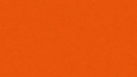 Vibrant Solid Orange Backdrop for Modern Graphic Design Elements Stock Footage 342208080