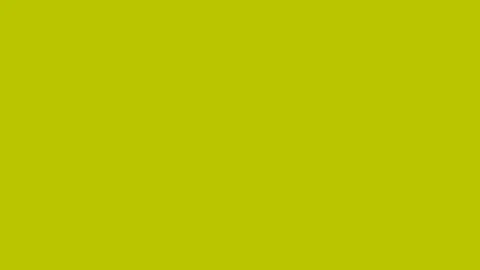 Vibrant Solid Red Background Video Loop for Creative Design Stock Footage 337498089