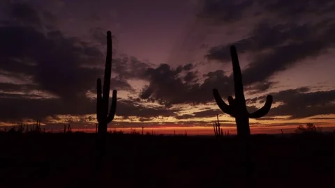 Vibrant Sonoran Desert Sunset Time-Lapse In Scottsdale AZ Stock Footage 331817880