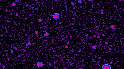 Vibrant spheres floating in a dynamic cosmic dance, perfect for science Stock Footage 321386462