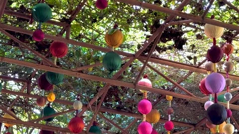 Vibrant Spheres Hanging Under Leafy Canopy Vídeos de archivo 306339838