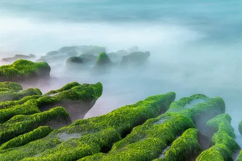 Vibrant Spring Algae Reef at Laomei Green Reef in Shimen, Taiwan. Stock Photos