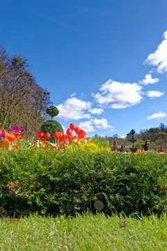 Vibrant spring flower borders and manicured grass paths leading to the hist.. Stock Photos