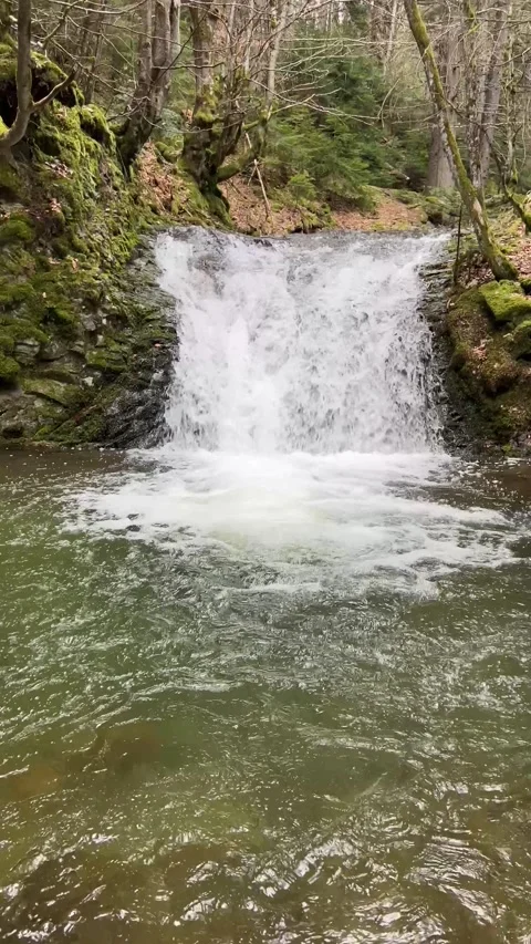 Vibrant Spring Waterfall with Calm Reflective Pool Video stock 332737101