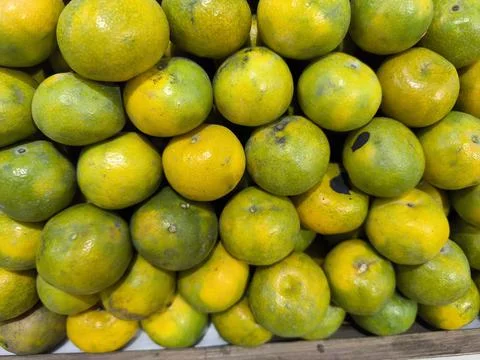 Vibrant Stack of Fresh Oranges with Green and Yellow Skins 스톡 사진
