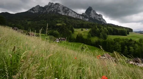 Vibrant summer landscape. Stock Footage 64992908