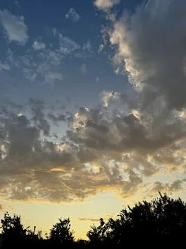 Vibrant Sunset Clouds Over Dark Silhouette Trees Stock Photos