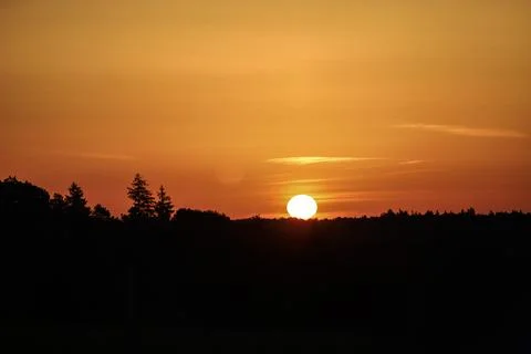 Vibrant sunset over a dark forest silhouette with bright orange sky Stock Photos
