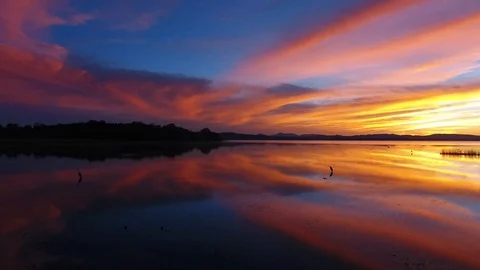 Vibrant sunset over lake 動画素材 99006108