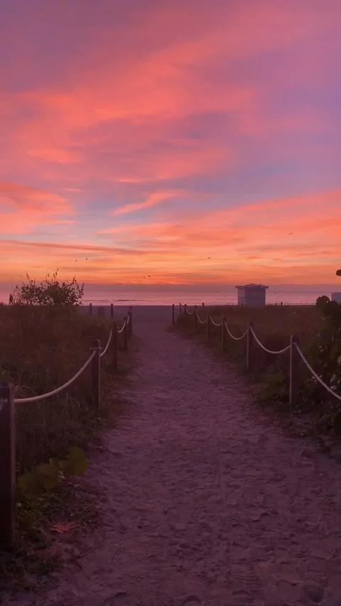 Vibrant sunset over sandy beach walk way entrance Stock Footage 136340375