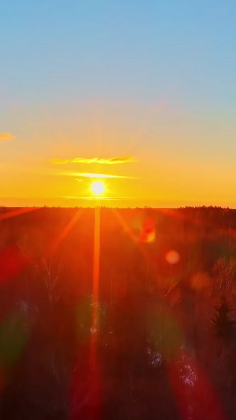 Vibrant Sunset Over Snow-Dusted Forest with Bare Trees 库存影片 336684870