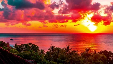 Vibrant Sunset over Tropical Ocean and Palm Trees Stock Footage 308280752
