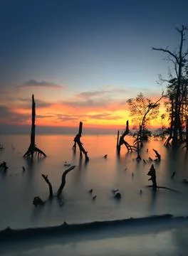 Vibrant sunset Stock Photos