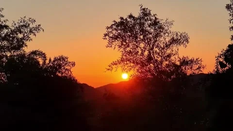 Vibrant Sunset Sky Behind Silhouetted Trees and Mountains Tibet China Stock Footage 346425122