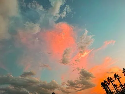 Vibrant sunset sky with clouds and palm trees against a serene evening back.. Stock Photos