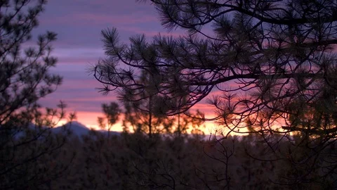 Vibrant Sunset Timelapse Stock Footage 90494478