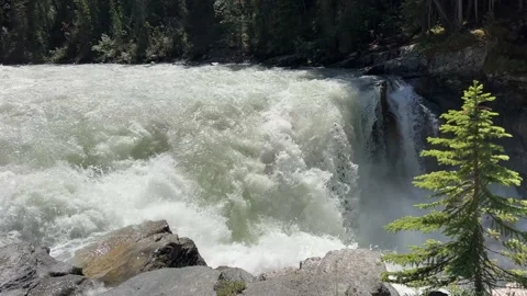 Vibrant Sunwapta Falls cascading down a rocky mountain range 스톡 동영상 202295083