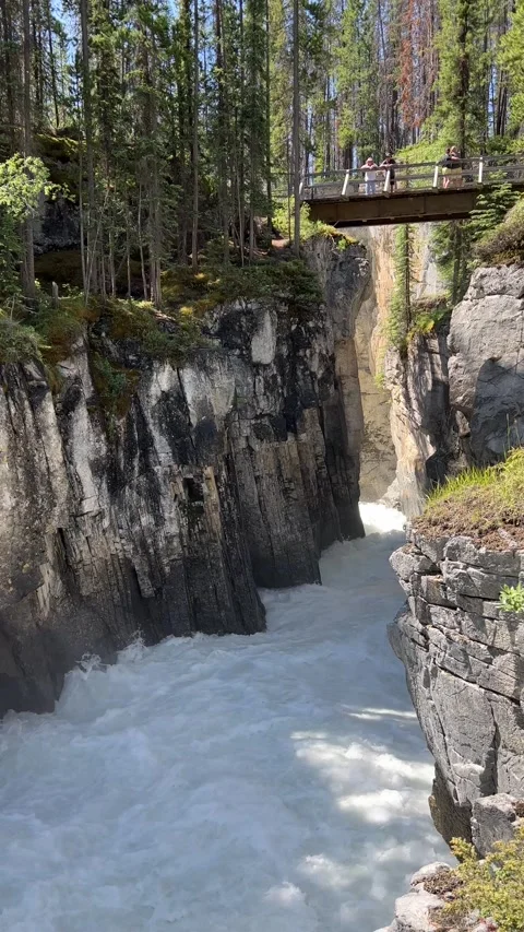 Vibrant Sunwapta Falls cascading down a rocky mountain range Stock Footage 202295482