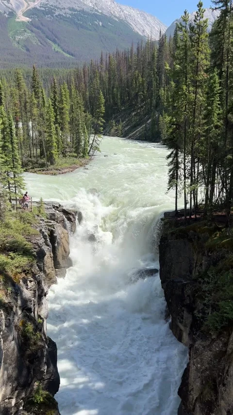 Vibrant Sunwapta Falls cascading down a rocky mountain range Stock Footage 202295487