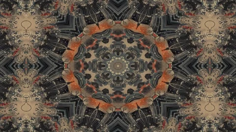 A vibrant, symmetrical mandala design featuring bold orange and black patte.. Stock Footage 292595446