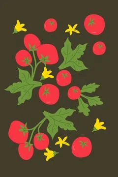 Vibrant tomato pattern with green leaves and yellow flowers on dark background Stock Illustration
